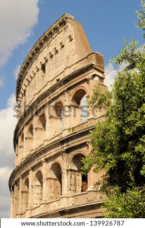 The Colosseum of ancient Rome with olive tree in foreground on a sunny day in Rome, Italy
