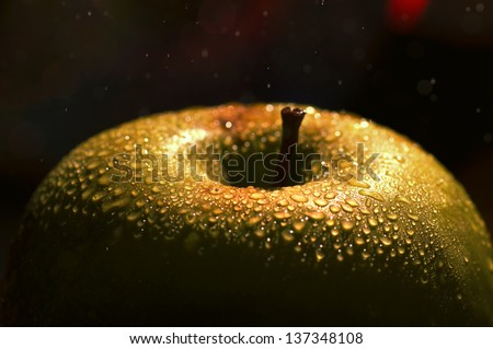 the big apple - a macro / close-up shot of a top of a fresh wet green apple  covered with drops / dew on a dark scene.