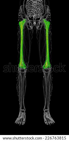 3d render medical illustration of the femur bone - front view