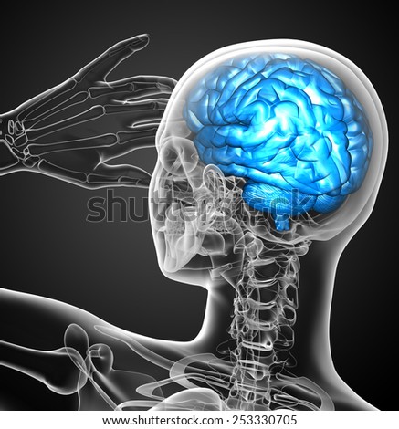 3d render medical illustration of the brain - back view