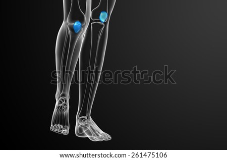 3d render medical illustration of the patella bone - front view