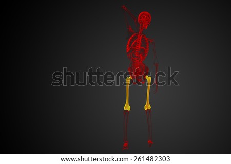 3d render medical illustration of the femur bone - back view