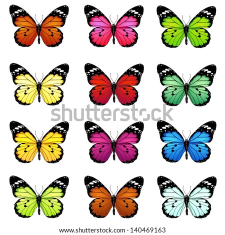 vector color set of colored butterflies vector color set of colored butterflies