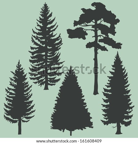 Vector Set Of Coniferous Trees Silhouettes