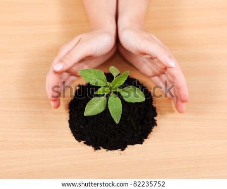 Top view of a kid\'s hands gesture of protecting a rare plant. Green concept