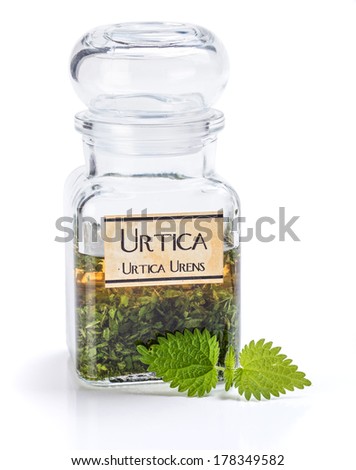 Ground Urtica urens leaves in ethanol, making plant extract