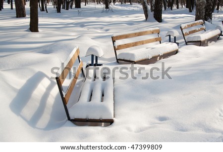 Snow covered benches in the park