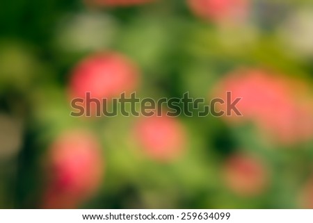 green and pink bokeh abstract light blur background