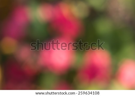 green and pink bokeh abstract light blur background