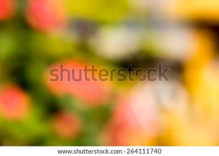 green and pink bokeh abstract light background