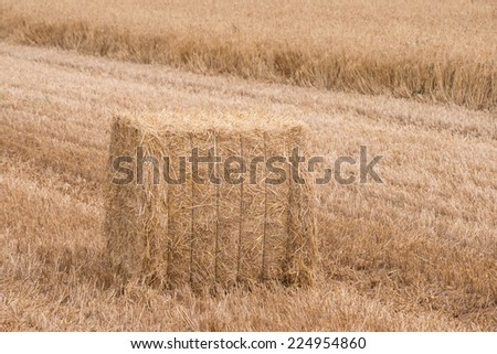 Square haystack on ripe wheat field background