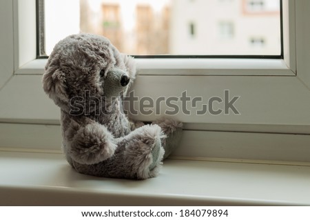 Teddy bear sitting by the window.