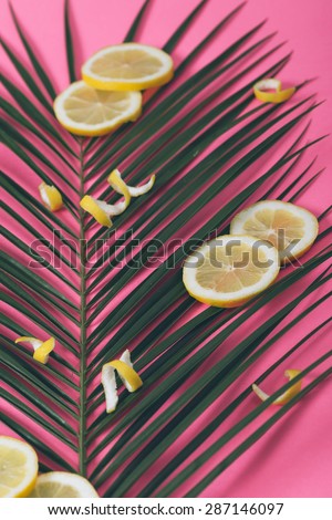Lemon slices and lemon peel on palm leaf and pink background.