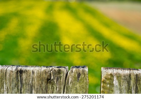 Old wood fence with a green and yellow field behind