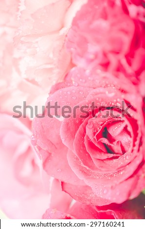 Pink rose - vintage flower background