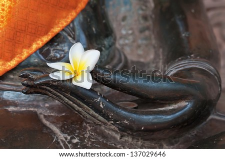 Concept of meditation with Bud of white frangipani flower in the hand of bronze buddha statue