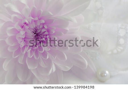 Romantic abstract background with purple chrysanthemum, one pearl and white lace suitable for wedding invitation card.