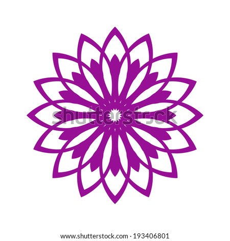 flower, purple petals with sunny beautiful pattern