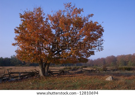 Country Fall Scene