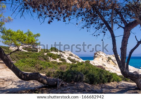 Trees and wild vegetation on a rocky coast in Sithonia, Chalkidiki, Greece