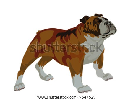 ritish bulldog tattoos. british bulldog tattoos. ritish bulldog tattoos.