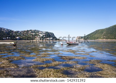 Knysna Lagoon looking towards Knysna Heads with boats and dog running and playing, Garden Route, South Africa