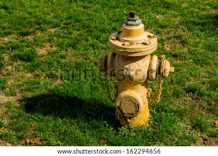 A fire hydrant on some grass in Toronto