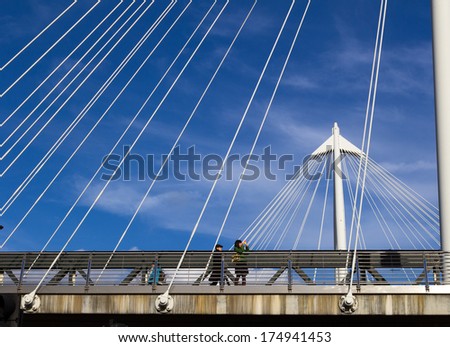 LONDON, UK, 2 FEB 2014: A Lady taking a picture from Hungerford Bridge which is a popular place to get views of The London Eye and Westminster