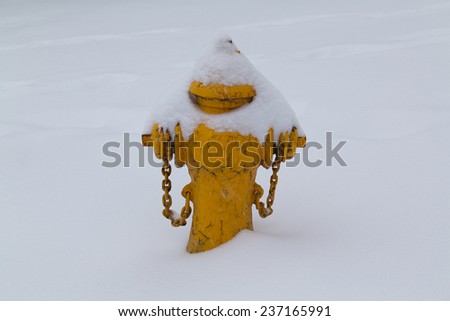 A fire hydrant covered in snow in the winter