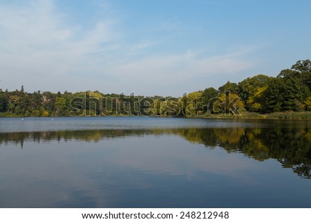 A beautiful Lake in the Summer with green trees, reflections and copy space