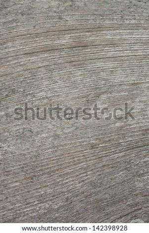plank wood with rings of wood