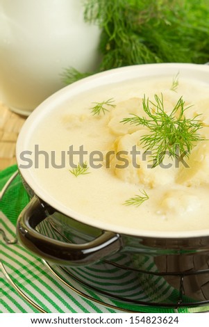 Milk soup with cauliflower garnished with dill
