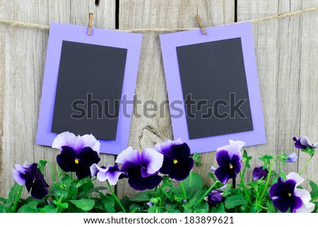 Two blank cards hanging on clothesline with purple flowers (pansies) against wood background