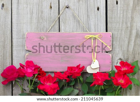 Flower border of red roses by weathered blank pink sign with hearts hanging on fence