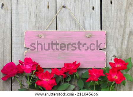 Flower border of red roses by rustic pink sign hanging on fence