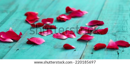 Red flower petals (roses) scattered on antique blue wood background