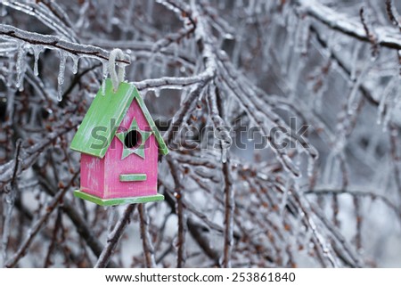 Pink and green wood birdhouse hanging on ice covered tree branches after ice storm