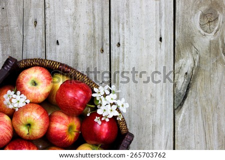 Wicker basket full of red gala apples and spring fruit tree blossoms on rustic wooden background; above view looking down