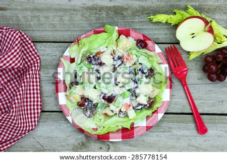 Healthy chicken fruit salad on red and white checkered paper picnic plate with ingredients in background on rustic wooden table; top view