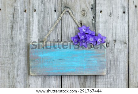 Rustic teal blue blank wood sign with purple balloon flowers hanging on old wooden fence