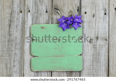 Blank rustic green sign with purple balloon flowers hanging on old wooden background