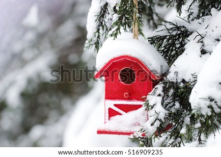 Red barn birdhouse covered in snow with snow covered trees blurred in background; winter background with copy space