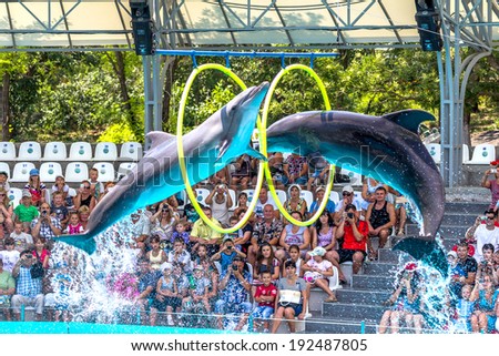 ODESSA, UKRAINE - JUNE 10, 2013: Dolphins on creative entertaining show at  dolphinarium  the full house of visitors show amazing tricks. Spectators happily delighted June 10, 2013 in Odessa, Ukraine