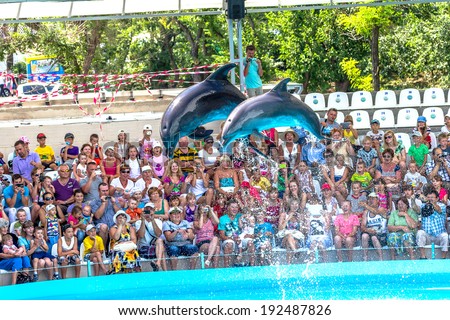 ODESSA, UKRAINE - JUNE 10, 2013: Dolphins on creative entertaining show at  dolphinarium  the full house of visitors show amazing tricks. Spectators happily delighted June 10, 2013 in Odessa, Ukraine