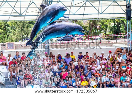 ODESSA, UKRAINE - JUNE 10, 2013: Dolphins on creative entertaining show at dolphinarium with  full house of visitors show amazing tricks. Spectators happily delighted June 10, 2013 in Odessa, Ukraine