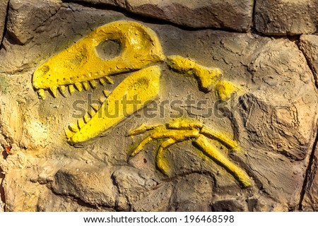Head model of a prehistoric dinosaur fossils from the Mesozoic era acts boulder wall