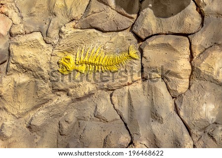 Model skeleton of a prehistoric dinosaur fossil fish of the Mesozoic era extends from the wall of stone blocks