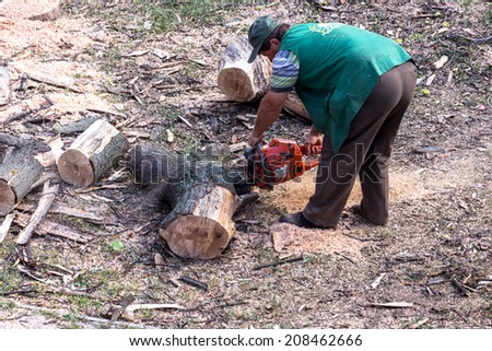 ODESSA, UKRAINE - July 31, 2014: Workers loggers purified city squares from dry dead trees. Men in overalls cropped branches and tree trunk Chainsaw July 31, 2014 in Odessa, Ukraine.
