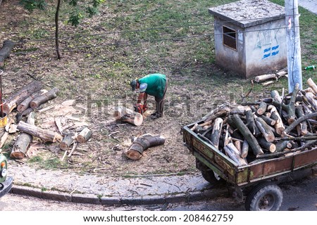 ODESSA, UKRAINE - July 31, 2014: Workers loggers purified city squares from dry dead trees. Men in overalls cropped branches and tree trunk Chainsaw July 31, 2014 in Odessa, Ukraine.