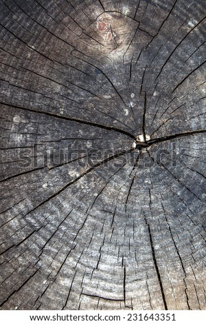 Old dark wood texture natural pattern wooden planks great as a creative artistic retro vintage background for design cover
